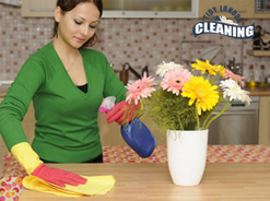 domestic_cleaning